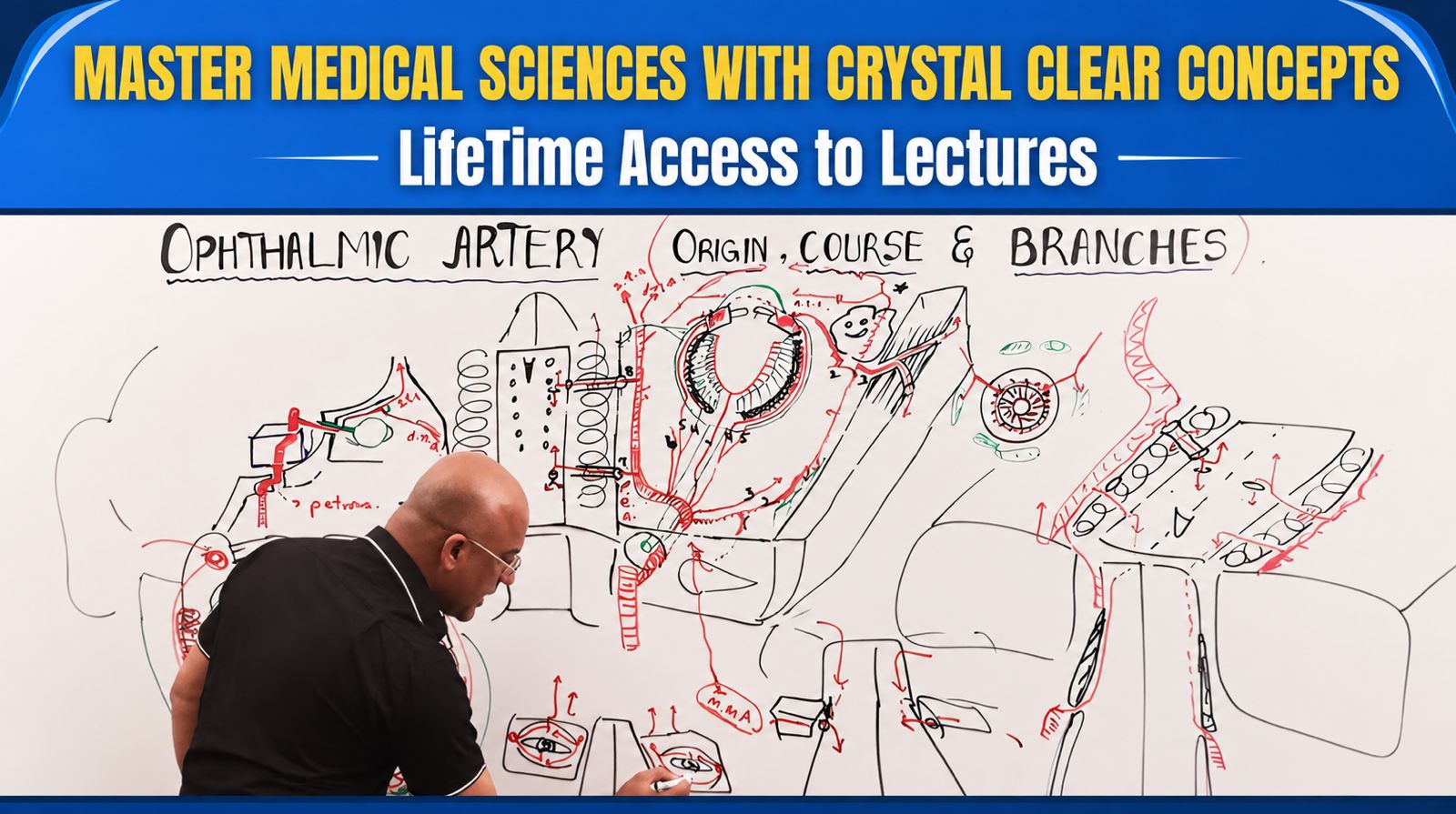 Master Medical Sciences - Lifetime Access $49