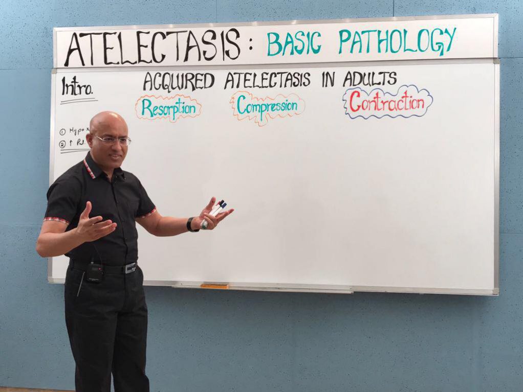 dr najeeb lectures histology