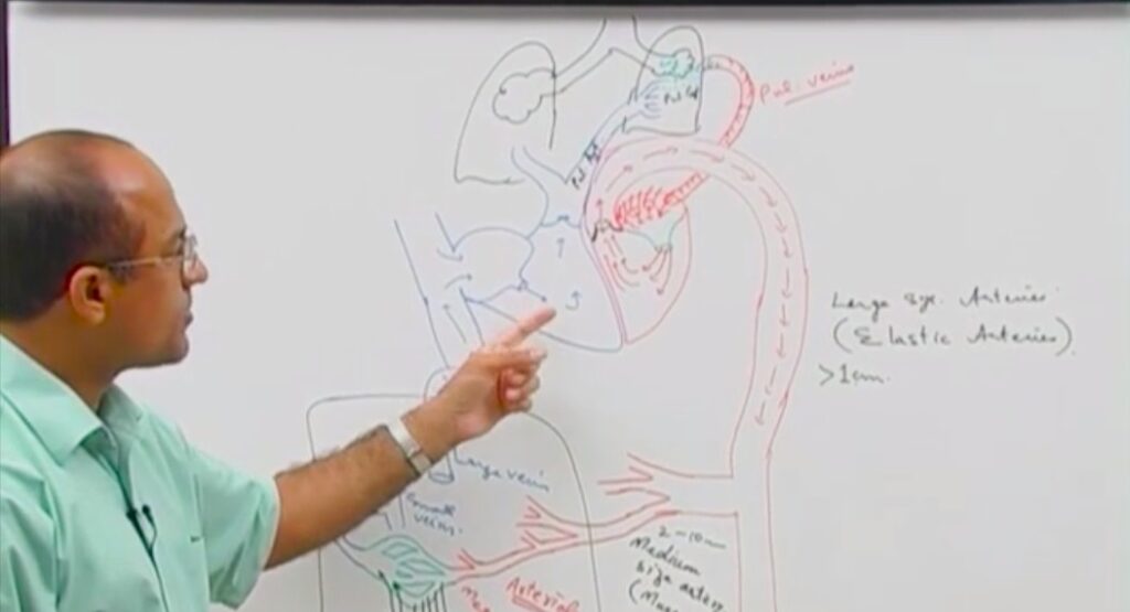 Vascular Pathology